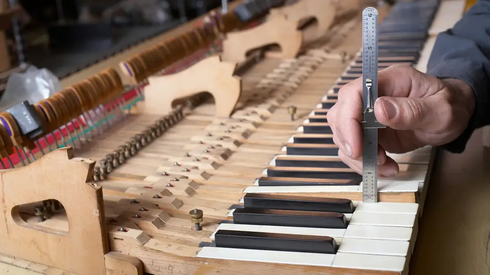 shutterstock_12121420