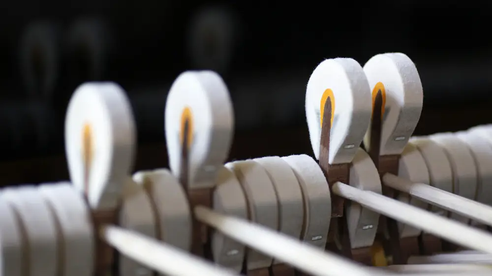 shutterstock_121383793